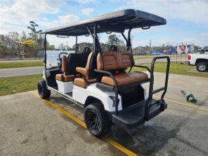 2026 Dach Apollo 6 Passenger