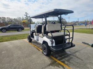 2026 Dach Apollo 6 Passenger